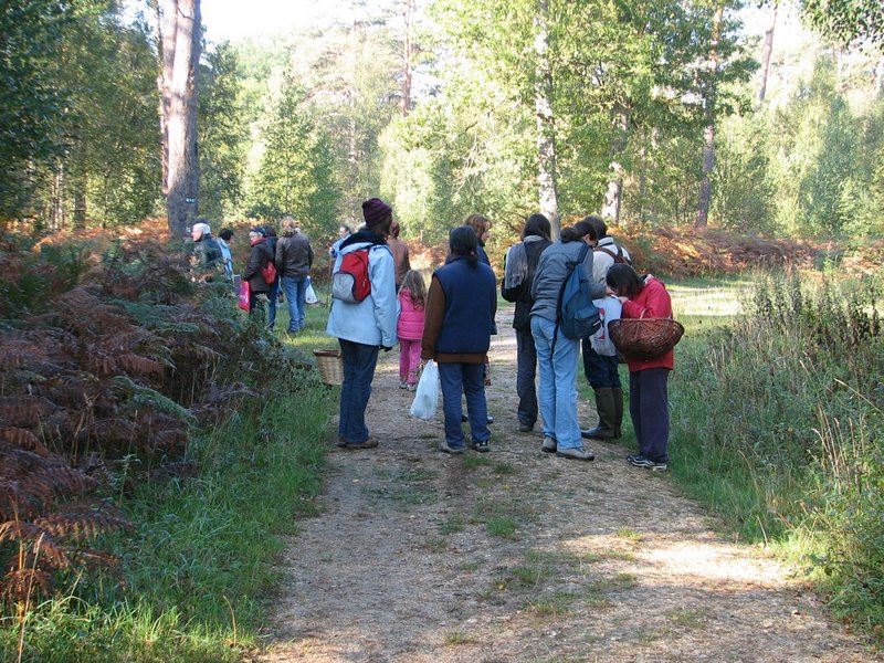 Mares au vinaigre 22